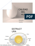 CALIDAD DEL HUEVO COMERCIAL Apuntes