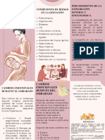 Control Prenatal Básico