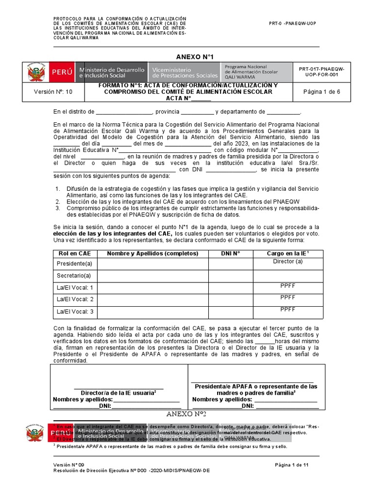 Formatos Cae 2023 2024 PDF
