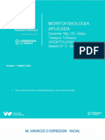 Semana 3 - Musculos de A Expresion Facial, Region Maseterina y Temporal