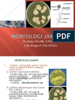 MORFOLOGI JAMUR - New