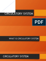 Circulatory System