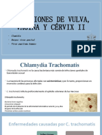 Infecciones de Vulva, Vagina y Cérvix II