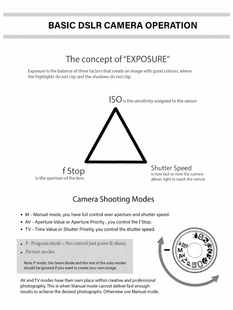 Camera Basics | PDF