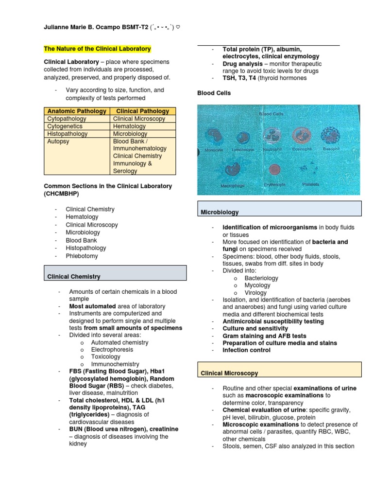 Overview of Clinical Laboratory Functions | PDF | Pathology ...