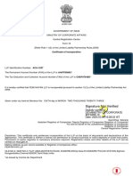 Certificate of Incorp - FEMI NAYAN LLP