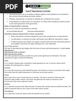 Duck Reproductive Anatomy Overview | PDF | Testicle | Ovary
