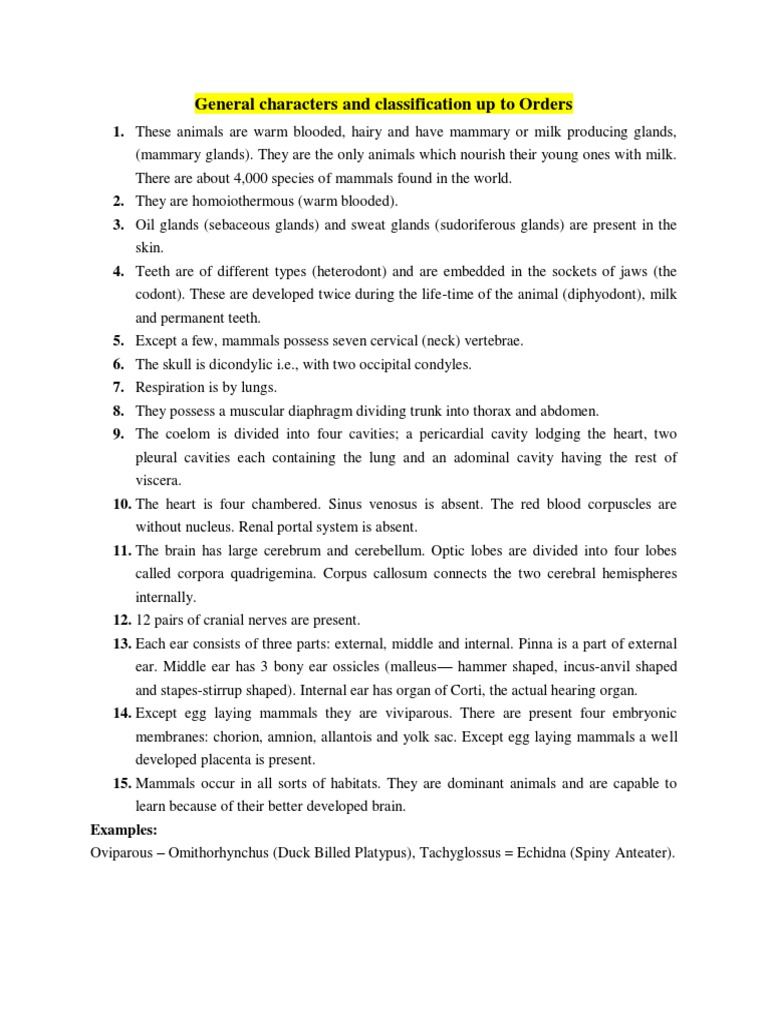 Mammal Classification and Characteristics | PDF | Foreign Language ...