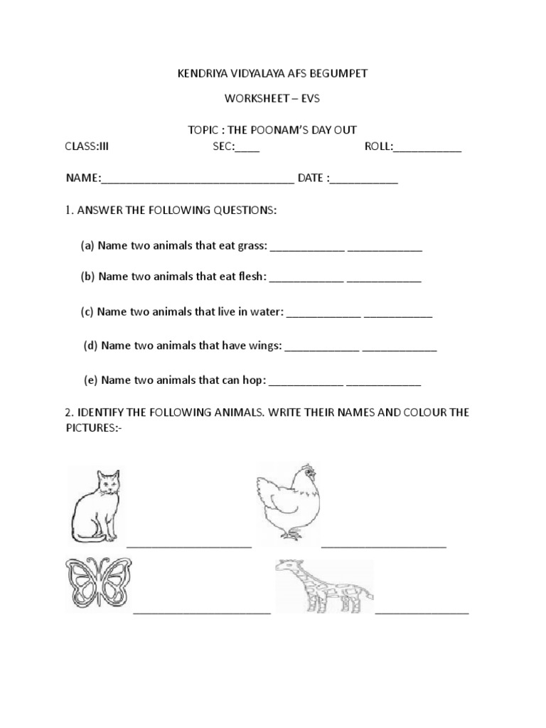 Poonam's Day Out EVS Worksheet | PDF