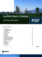 Getting Started With Geodin