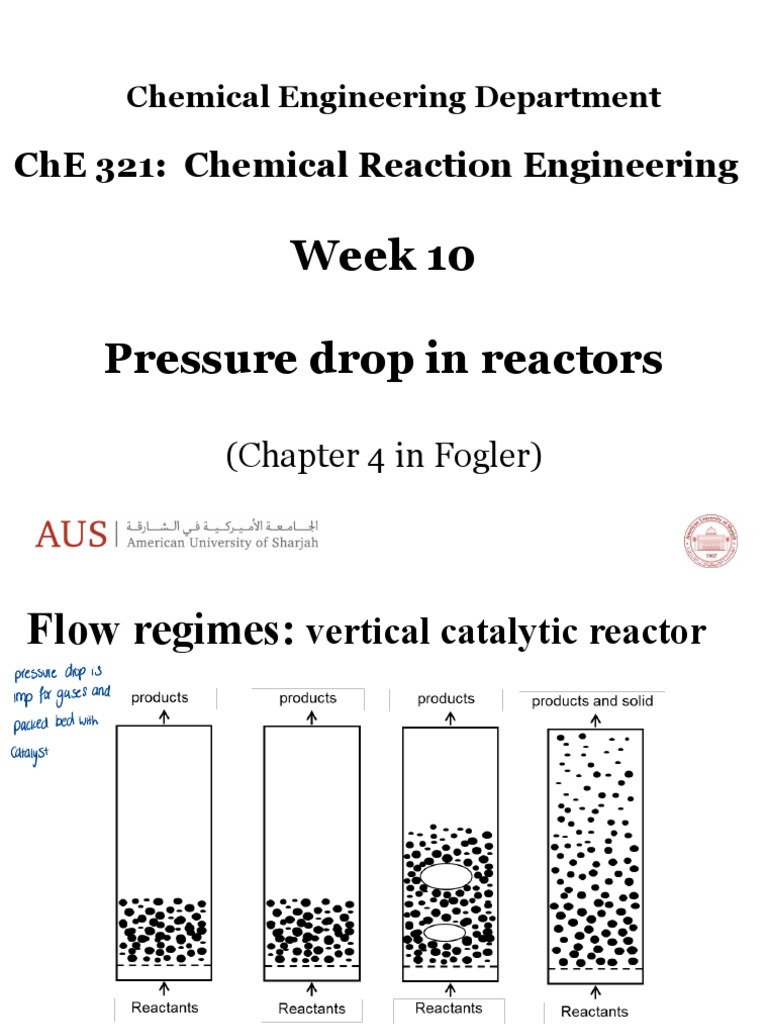 Pressure Drop in Packed Bed Reactors | PDF | Chemical Reactor | Chemistry