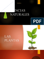 Ciencias Naturales Las Plantas