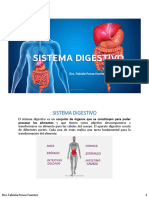 Sistema Digestivo Parte I
