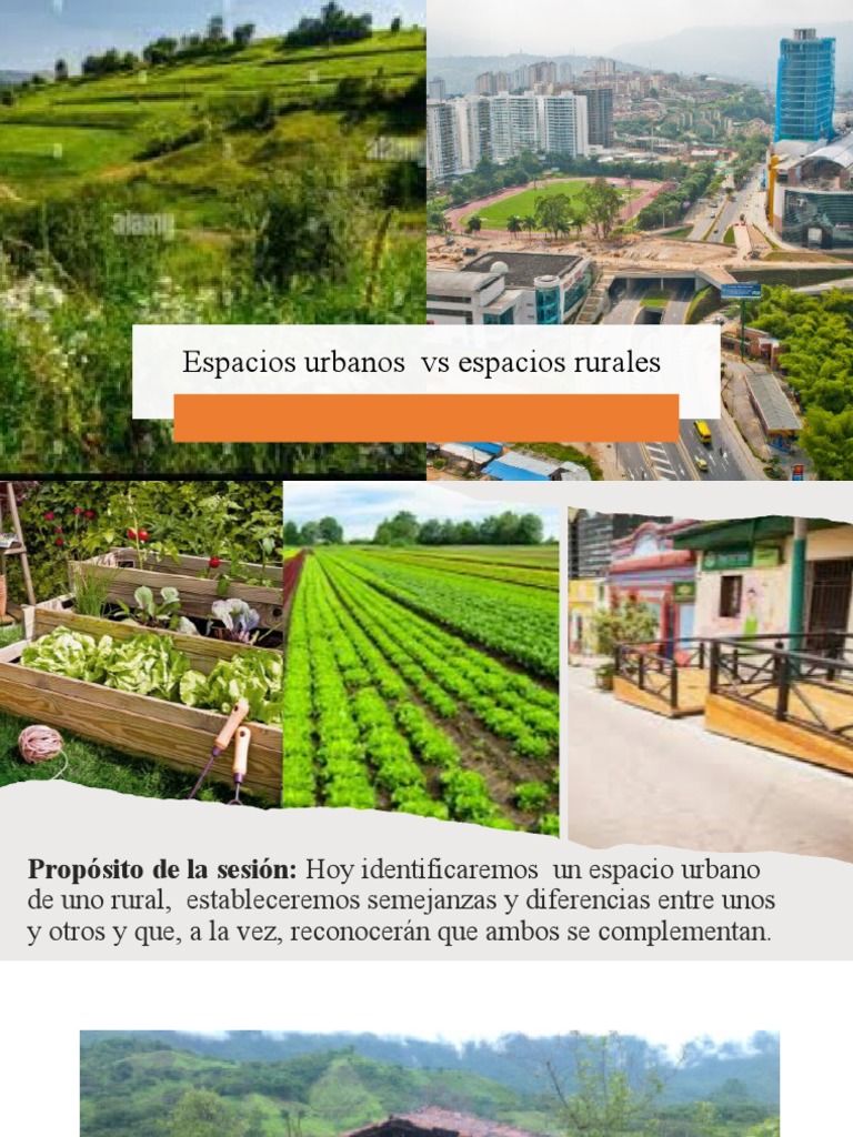 Semejanzas y diferencias: urbano y rural | PDF | Arte