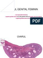 LP11 Histologie Anul II Seriile A B C D