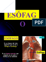 Anat 2.9 ESÓFAGO