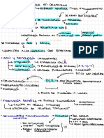 Resumen Control 2