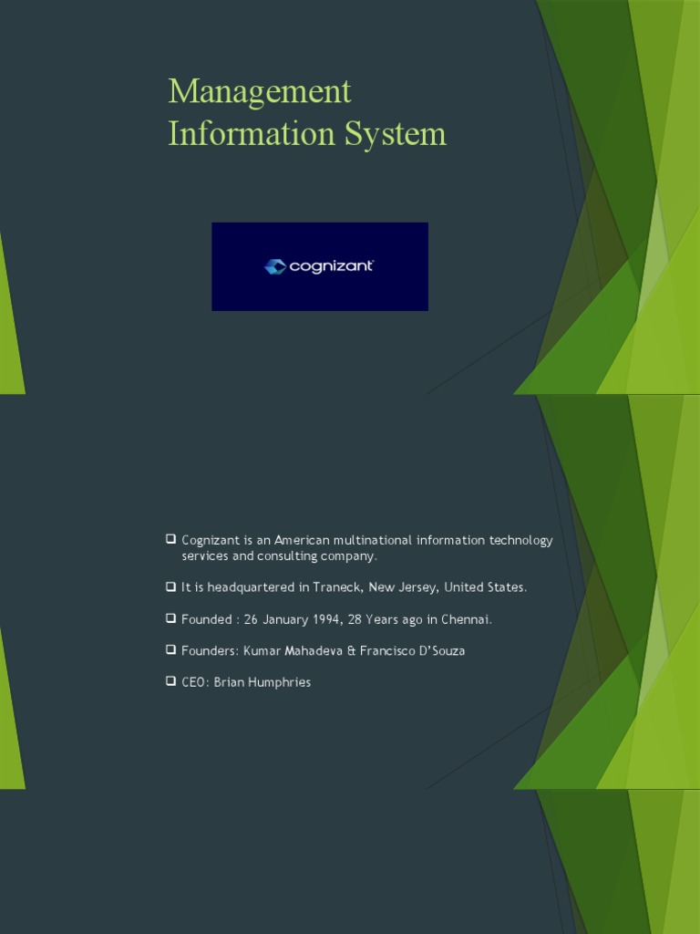 Management Information System | PDF