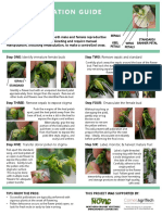 PollinationGuide PDFVersion Pea