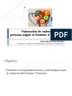 Valoracion Dominio 2 - Nutricion (1) (Solo Lectura)