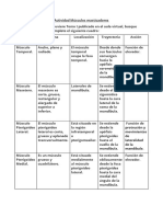 Trabajo Practico Cuadro Comparativo Musculos Masticadores