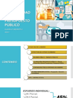 Contenido Ppto & Cbil Publ