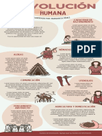 Infografia Evolucion Humana Ilustrado Colores Neutrales