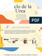 Ciclo de La Urea