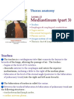 Thorax - L13 - Mediastinum (Part 3)