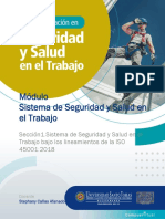 Notas de Clase ISO 45001-2018 - SSST