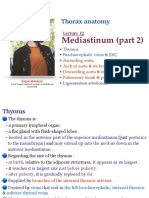 Thorax - L12 - Mediastinum (Part 2)