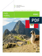 IMP Perfil PERU - En.es