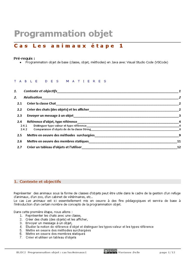 Programmation Objet en Java : Chats | PDF | Classe (informatique ...