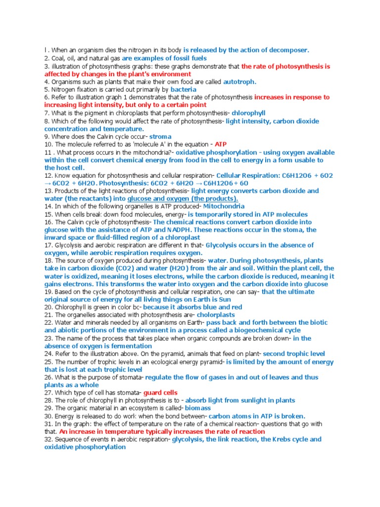 Semester 1exam - Study Guide | PDF | Photosynthesis | Cellular Respiration