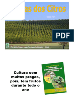 Aula de Pragas Dos Citros - Curso de Citricultura - 2020