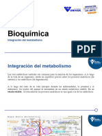 Integracion Metabolismo