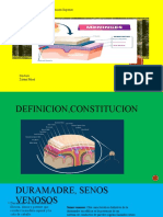 Meninges