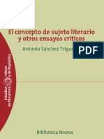 El Concepto de Sujeto Literario y Otros Ensayos Críticos