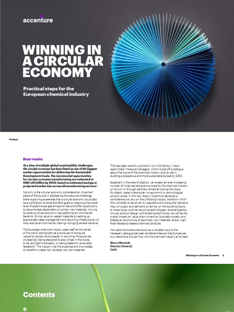 Circular Economy for EU Chemicals | PDF | Sustainability | Recycling