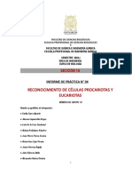 Informe SEM. 4