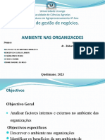 Ambiente Nas Organizacoes