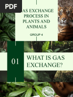 group-4-gas-exchange-bio-ppt