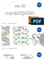 Clase 26. Transcripción.