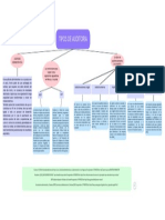 Tipos de Auditoria