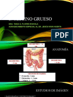 Intestino Grueso