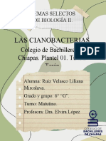 Las Cianobacterias