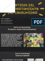 Teotrias Del Comportamiento Del Consumidor - Grupo 3