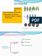 sistem reproduksi Avertebrata