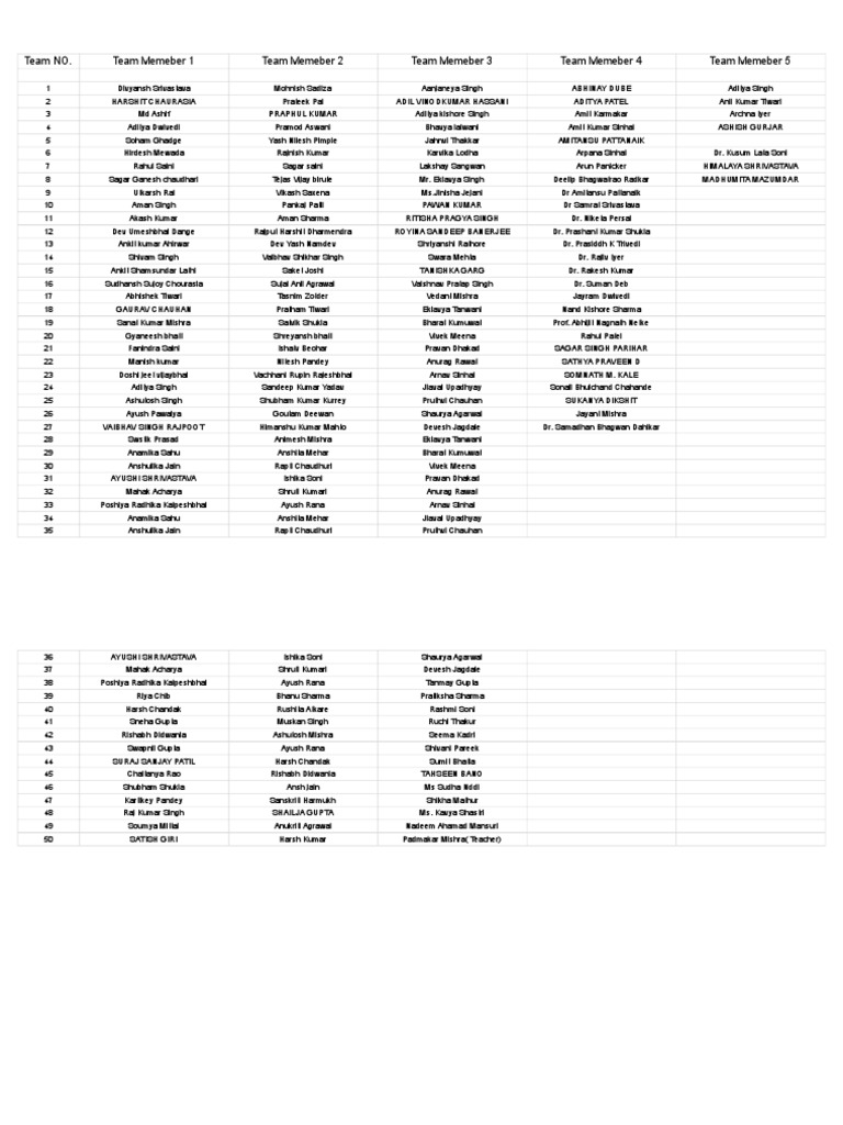 Team Member List and Roles | PDF