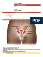 (Anatomy & Physiology Lecture) REPRODUCTIVE SYSTEM NOTES